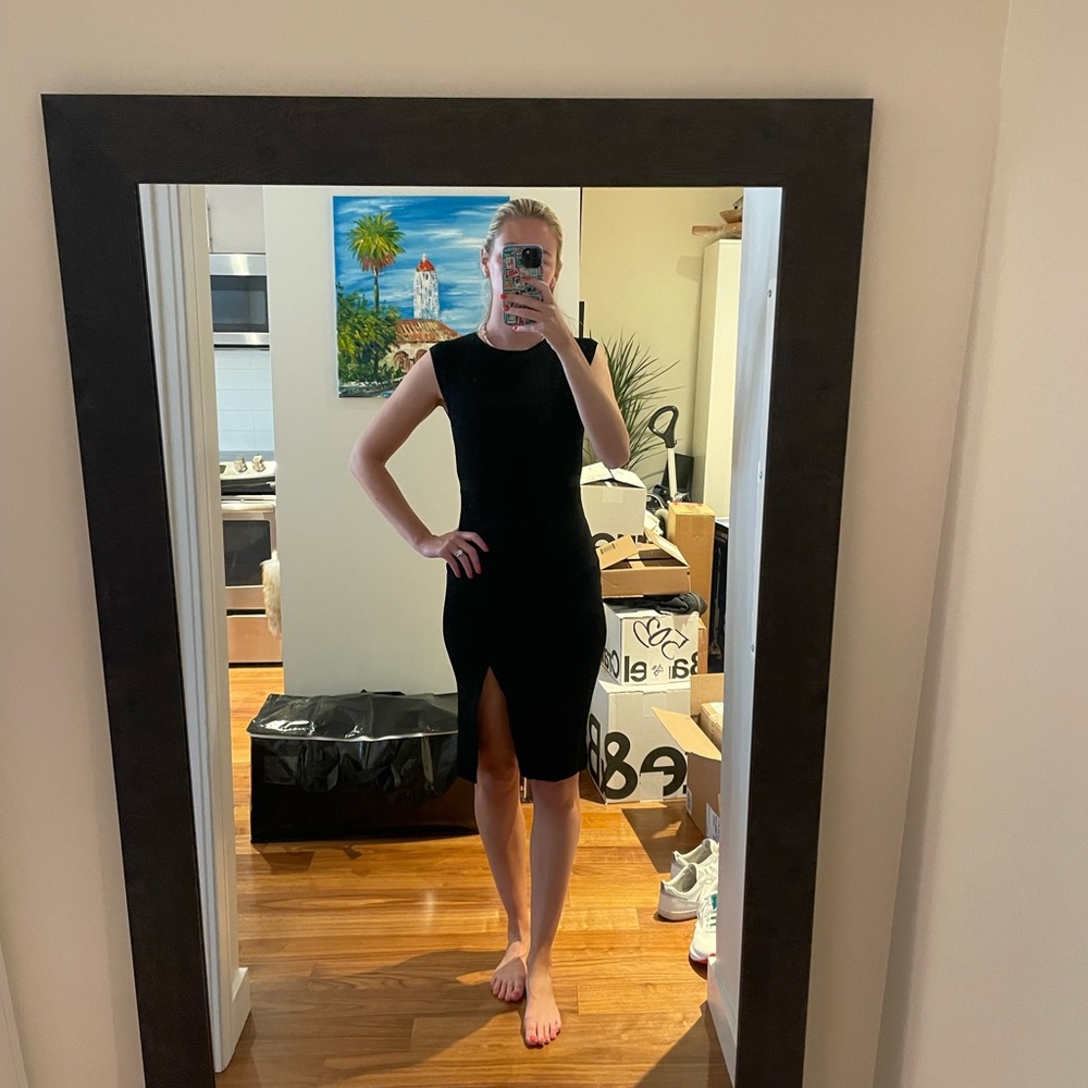 Babaton Emerson Dress